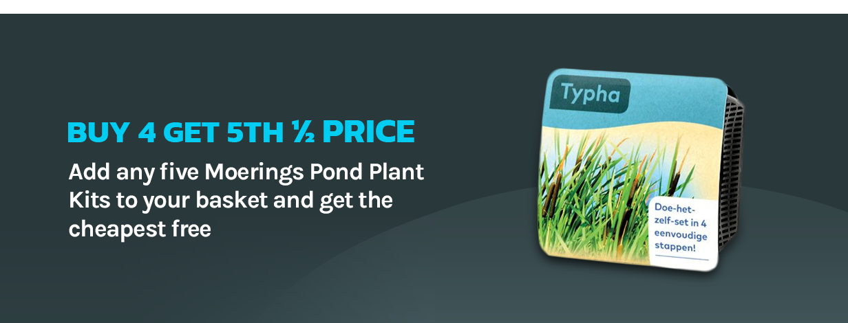 Buy 4, Get 5th Half Price - Moerings Pond Plant Kits