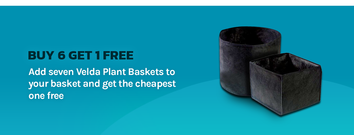 Buy 6, Get 1 FREE - Velda Plant Baskets