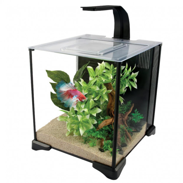 Fluval Betta 30cm Aquarium Kit 20L