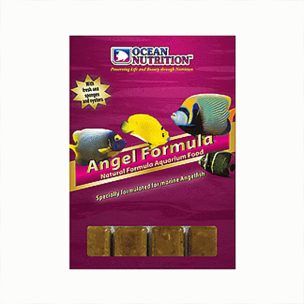 Ocean Nutrition Frozen Angel Formula