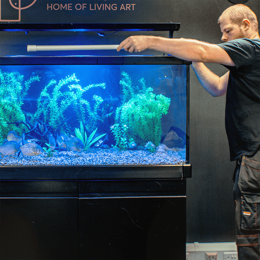 Tropical & Coldwater Aquarium Installation (0-120L)