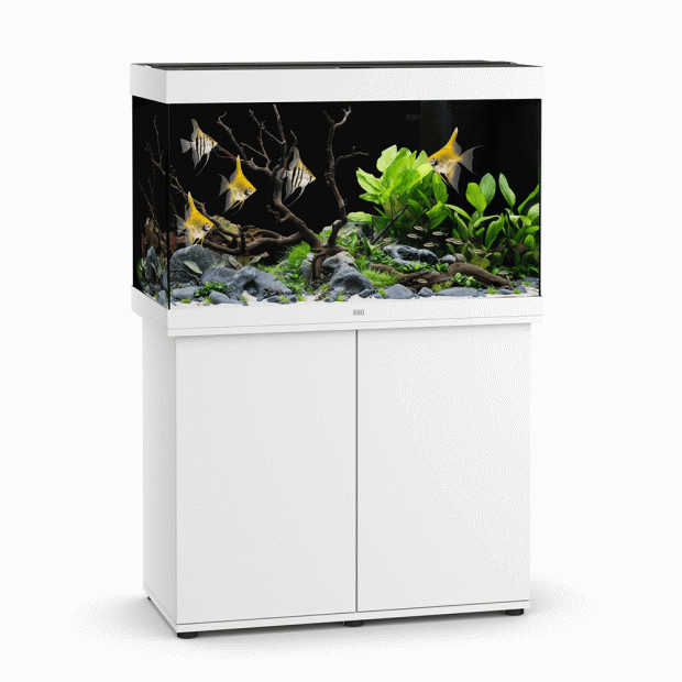 Juwel Rio 290 101cm Aquarium & Cabinet White - 290L
