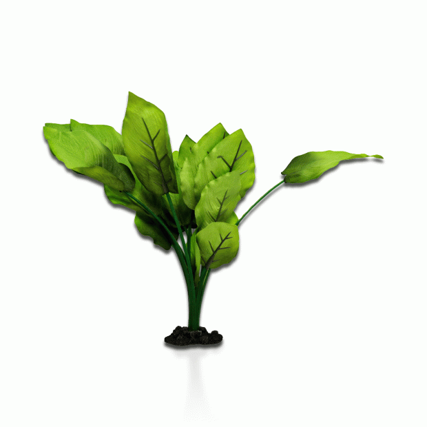 Aqua One Sword Radicans Silk Plant