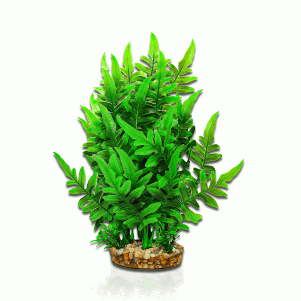 Aqua One Vibrance - Green Fern