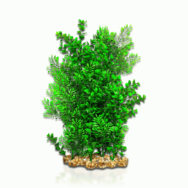 Aqua One Vibrance - Wisteria/Bacopa