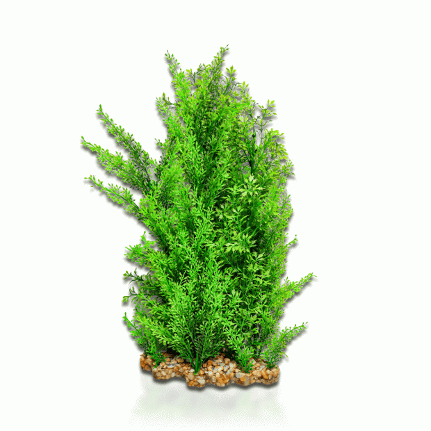 Aqua One Vibrance - Wisteria