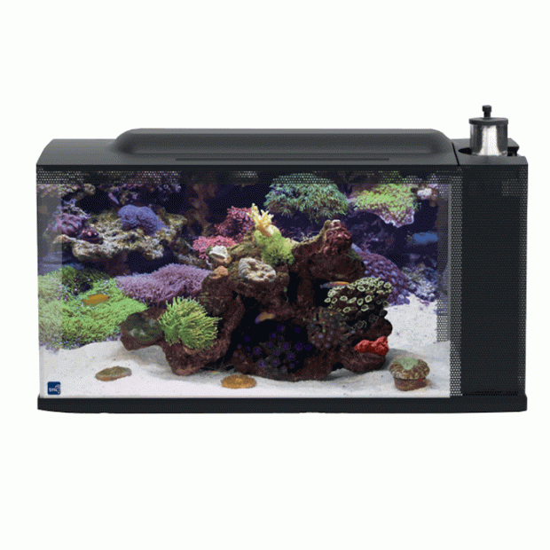 TMC First Wave Aquarium