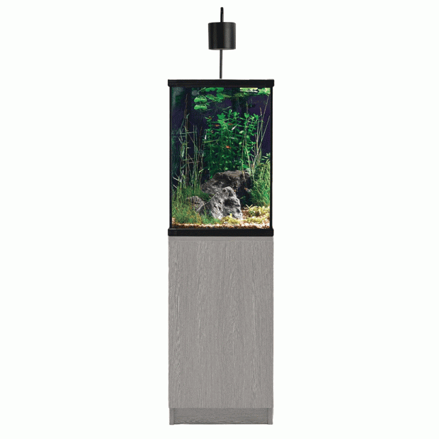 Aqua One Dynamic 58