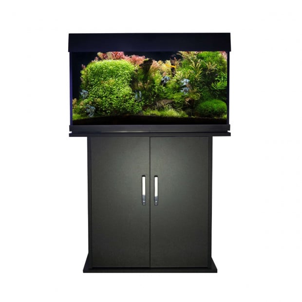 Swell Amazon 80cm Aquarium 168 ltrs