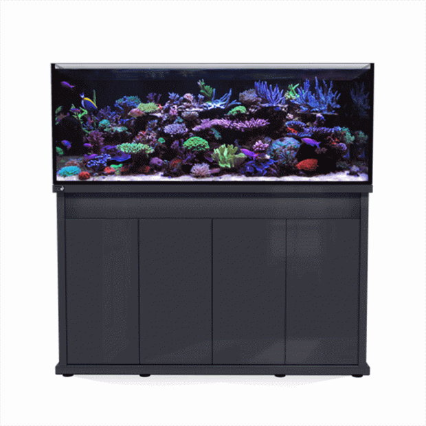 D&D Reef-Pro 1500S Aquarium with Anthracite Cabinet