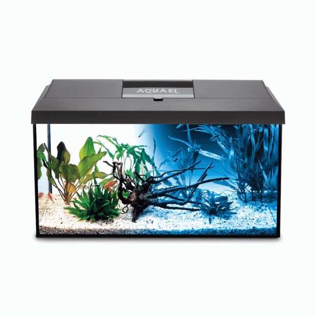 Cheap aquarium deals accessories