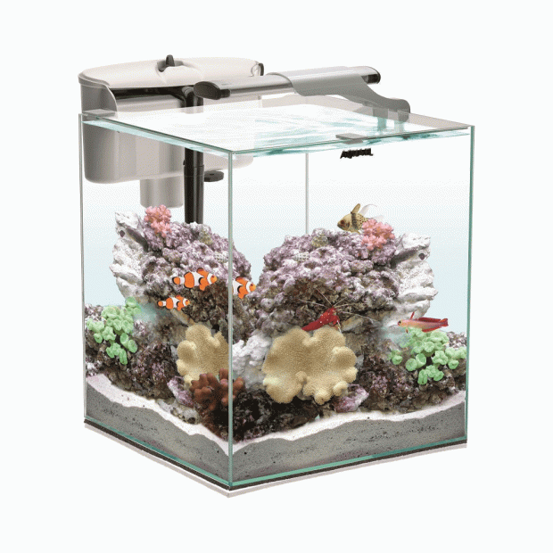 AquaEl Nano Reef Duo 49L Aquarium - 35cm