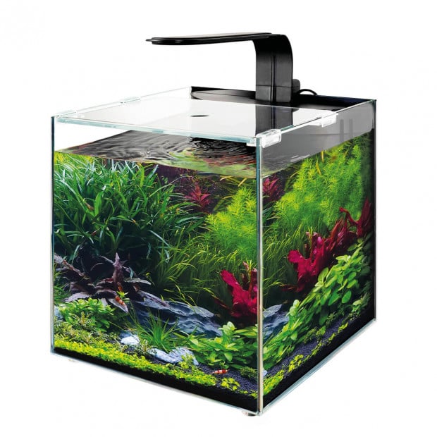 TMC AquaGro Biome All-In-One Desktop Aquarium