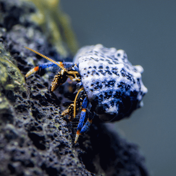 <em>Online stock may not be available for in-store collection.</em>