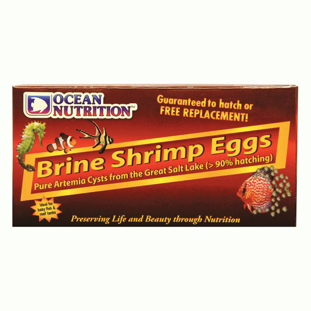 Ocean Nutrition Brine Shrimp Eggs