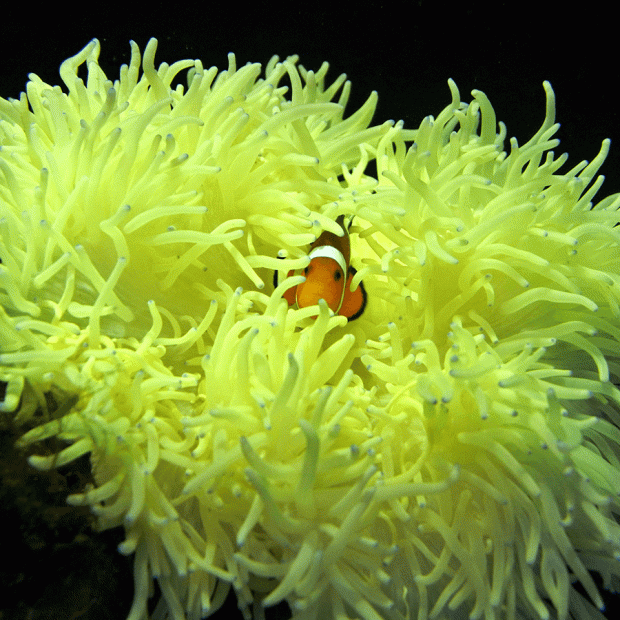 <em>Online stock may not be available for in-store collection.</em>