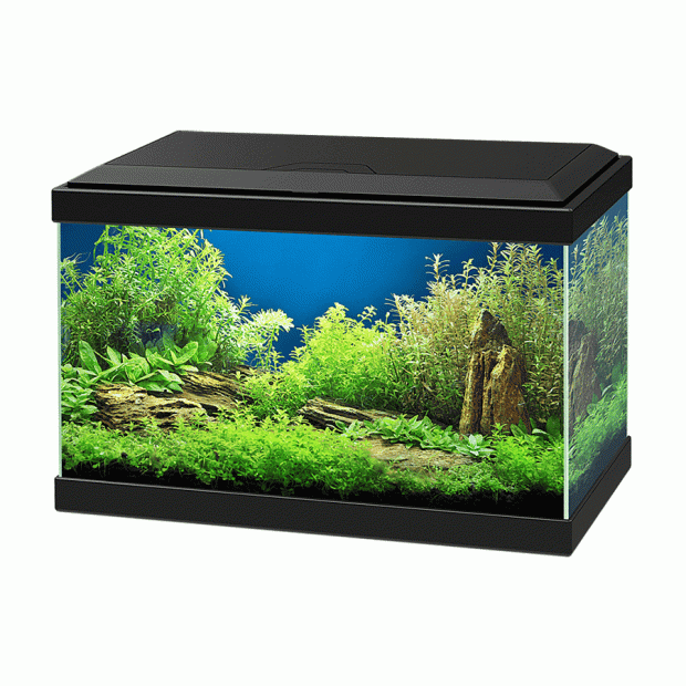 Ciano Aqua 20 Aquarium With LED Light