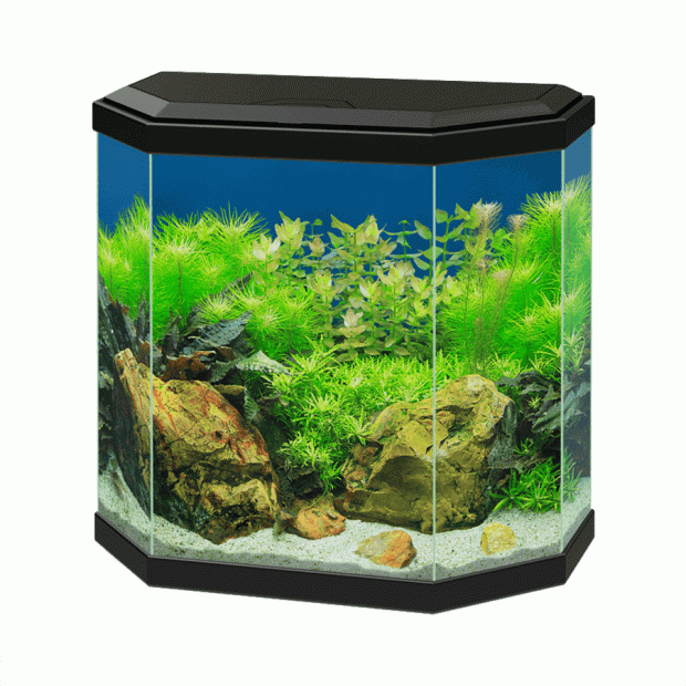 Ciano Aqua 30 Aquarium With LED Light