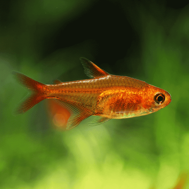 <em>Online stock may not be available for in-store collection.</em>