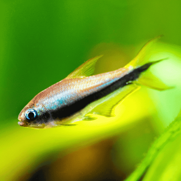 <em>Online stock may not be available for in-store collection.</em>