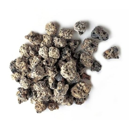 Swell Alfagrog 13.5kg