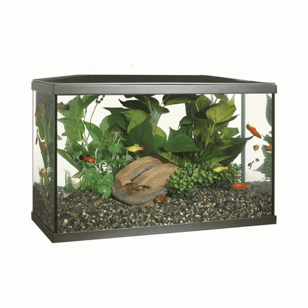 Marina Lux 51cm LED Aquarium Kit - 38L