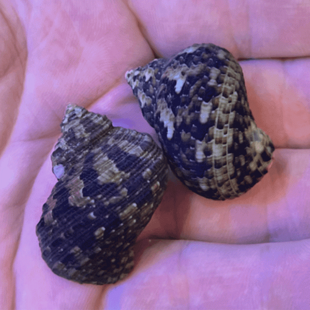 <em>Online stock may not be available for in-store collection.</em>