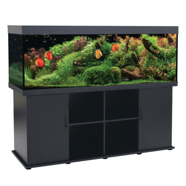 Swell Nile 180cm Aquarium 702 ltrs