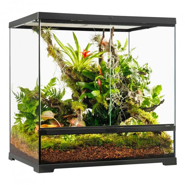 Exo Terra Pro Terrarium 60 x 45 x 60cm