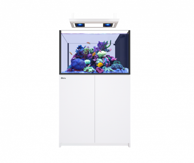 Red Sea Reefer Peninsula 350 G3 Deluxe - & White Cabinet (Incl. 2 X RL115 & Pendant)