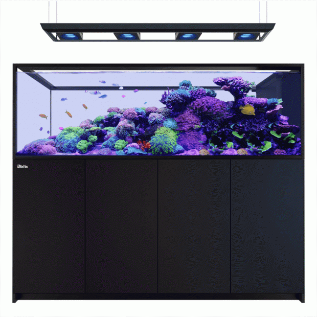 Red Sea Reefer Peninsula S 950 G3 Deluxe 200cm Aquarium & Black Cabinet - 950L (Inc. 4 X RL170 & Pendant)
