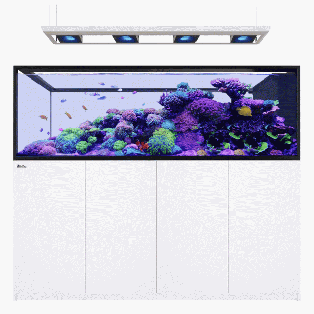Red Sea Reefer Peninsula S 950 G3 Deluxe 200cm Aquarium & White Cabinet - 950L (Inc. 4 X RL170 & Pendant)