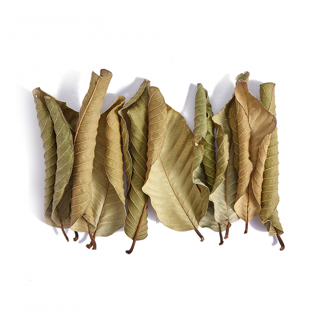 Swell Guava Leaves