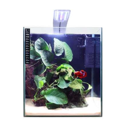 Swell 28cm Cube Tropical LED Aquarium Kit 25L