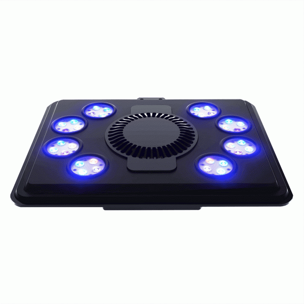 Maxspect Jump LED
