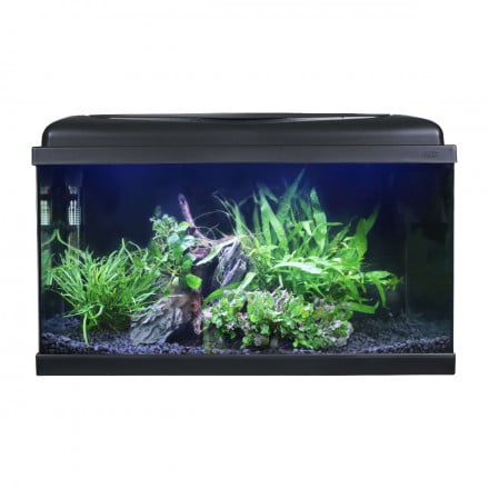 Swell 60cm Tropical LED Aquarium Kit 54L