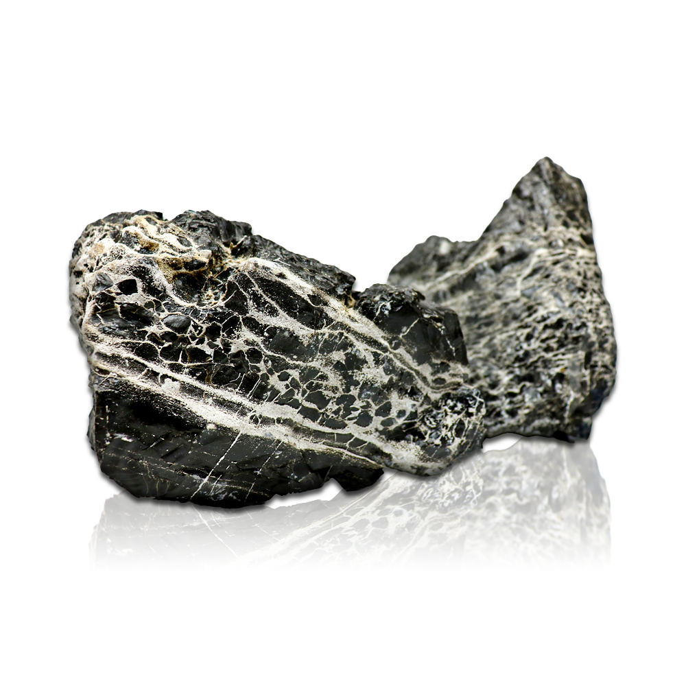 Swell Aquarium Leopard Stone