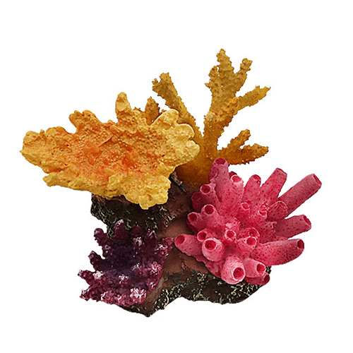 Swell Colourful Artificial Coral Set