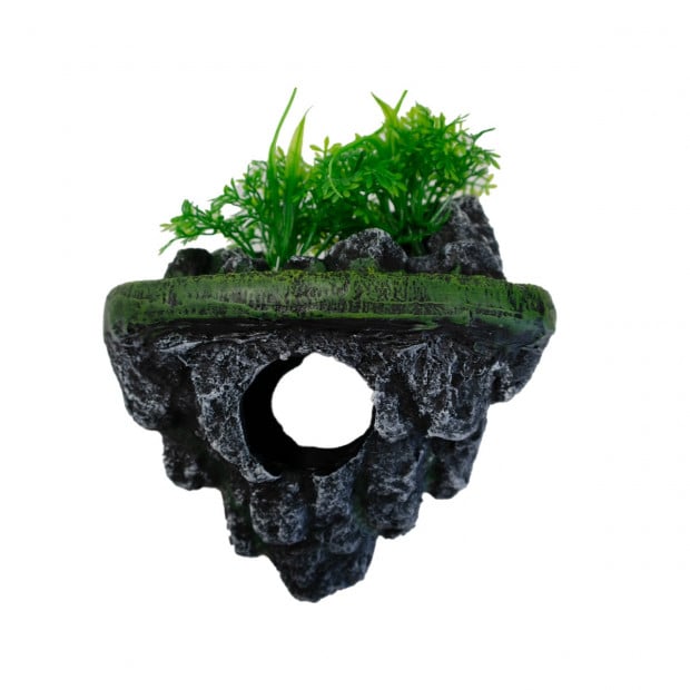 Swell Aquarium Floating Island
