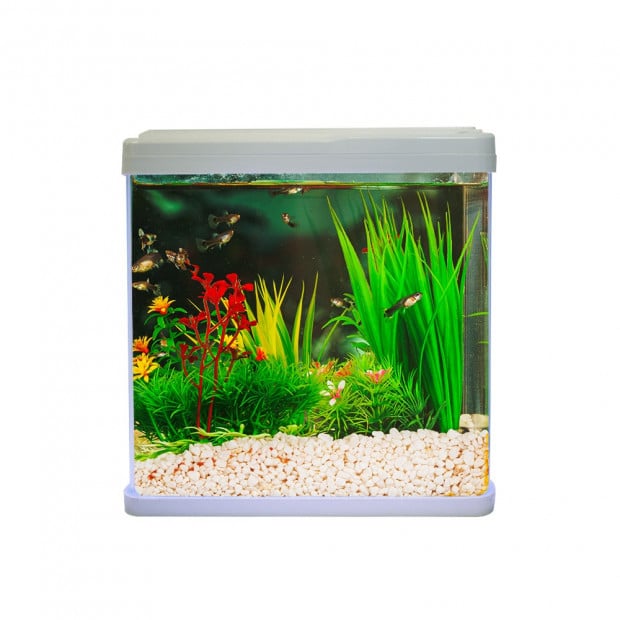 Swell Aquaventure Aquarium 30cm White