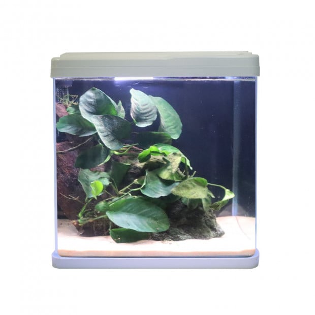 Swell Aquaventure Aquarium 38cm White