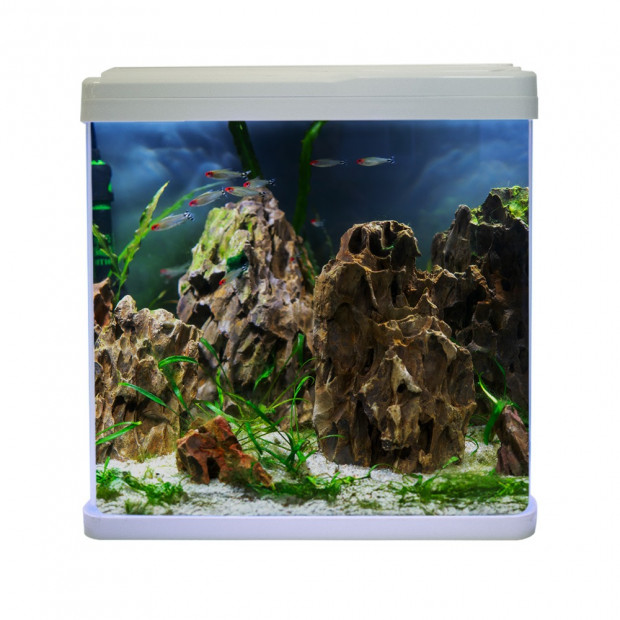Swell Aquaventure Aquarium 60cm White