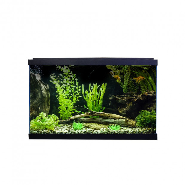 Swell Premium 50cm Tropical Aquarium