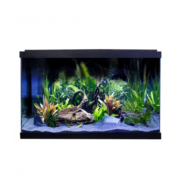 Swell Premium 60cm Tropical Aquarium