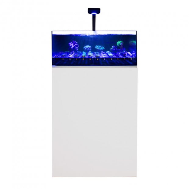 Swell Coral Tank & Cabinet