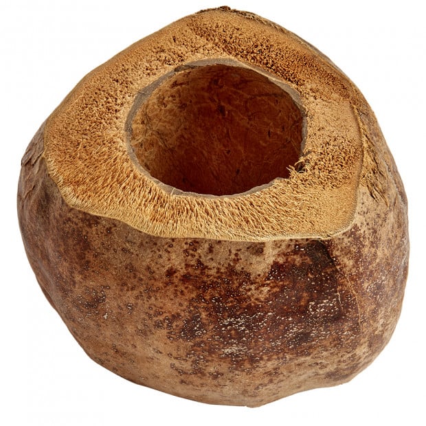 Swell Natural Coco Planter