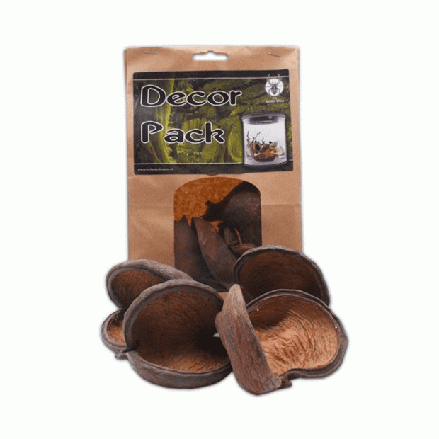 The Spider Shop Decor Packs