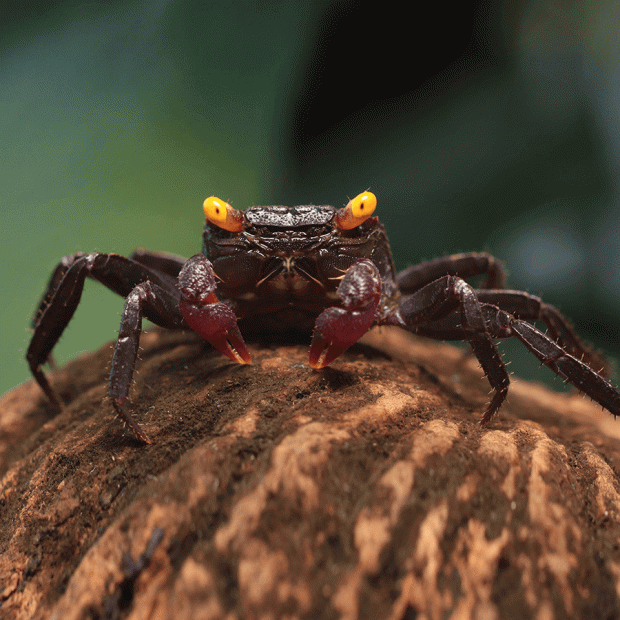 <em>Online stock may not be available for in-store collection.</em>