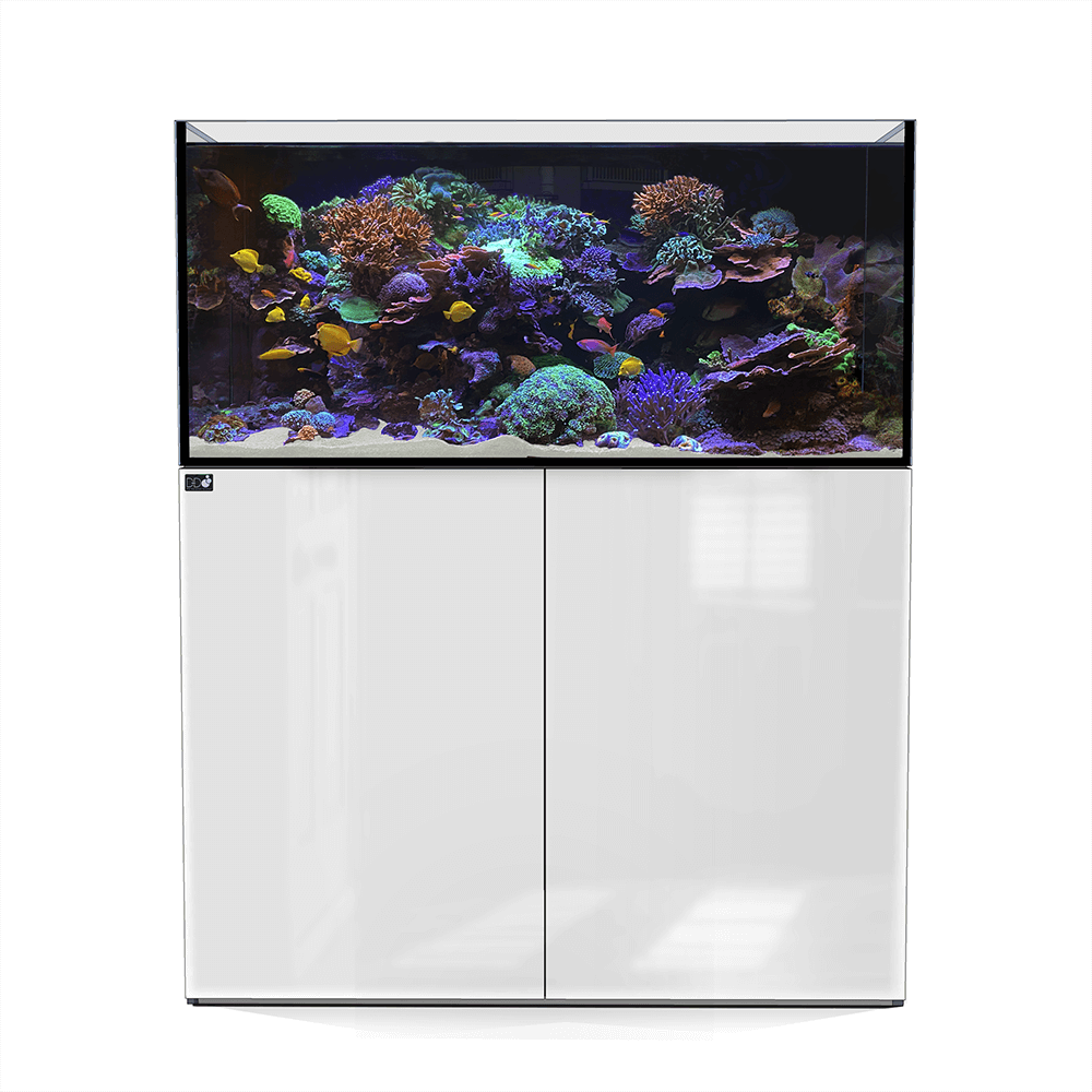 D&D Aqua-Pro Reef 1200 120cm Aquarium & Ultra-Gloss White Cabinet - 441L