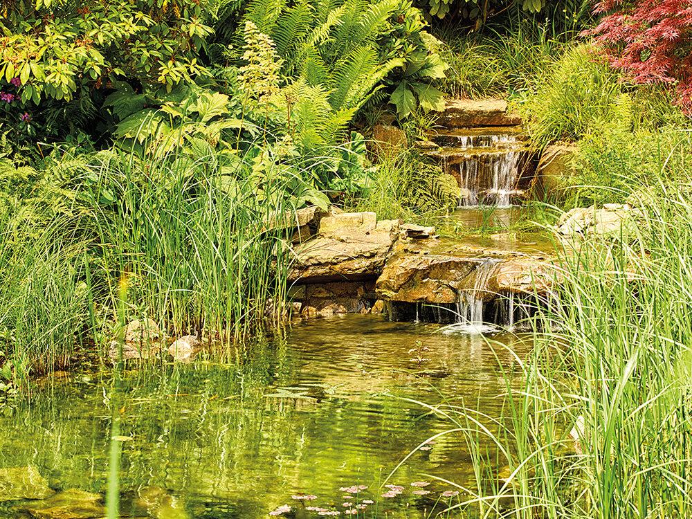 How to select the right pond pump